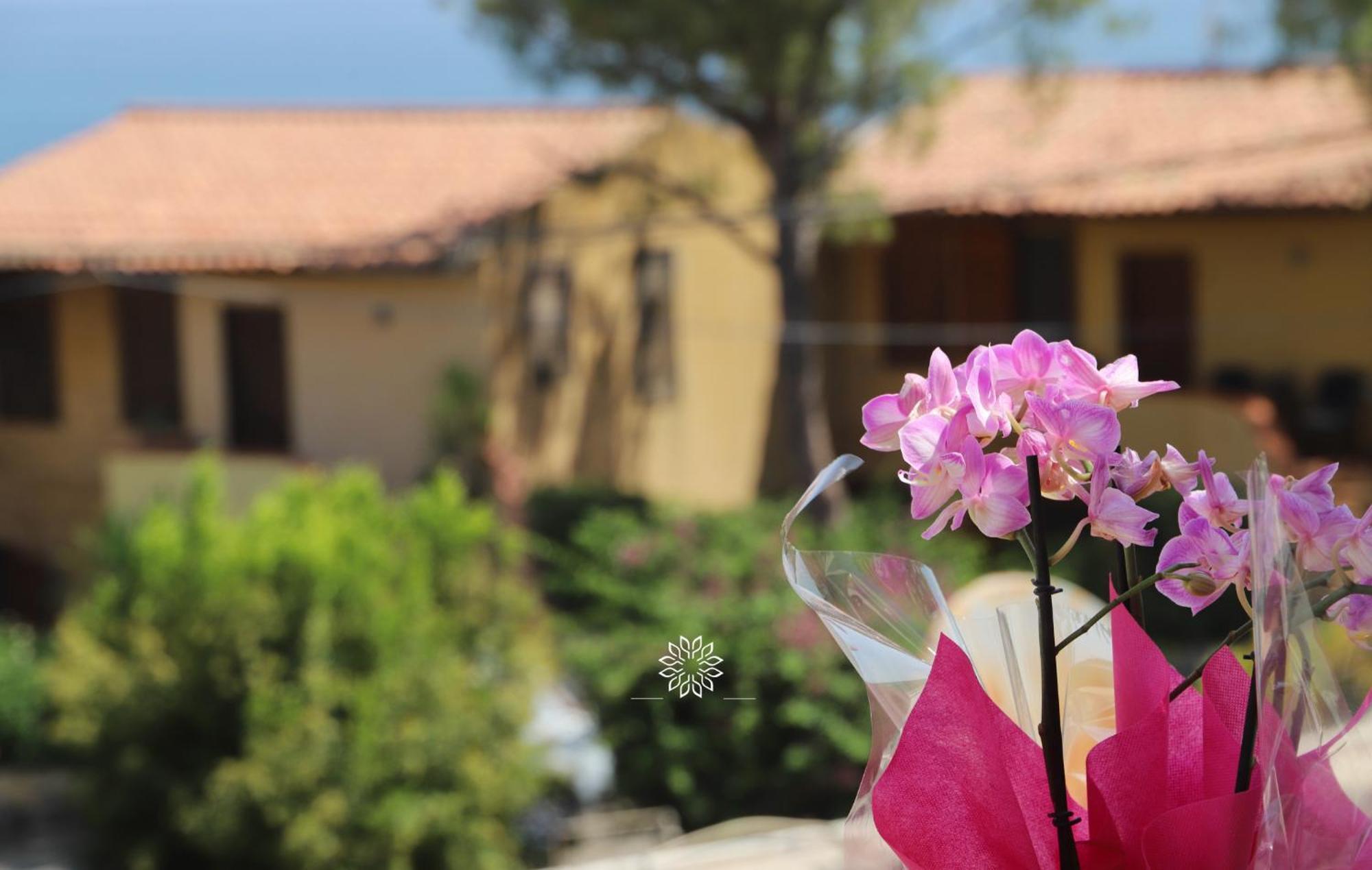 Casa Lucia Villa Agnone Bagni Ngoại thất bức ảnh